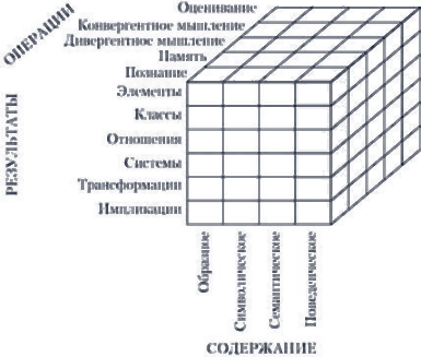 Виды интеллекта. Когнитивные стили
