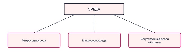 Среда