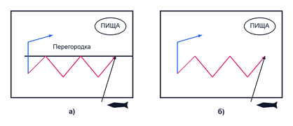 Переходные формы этапов психического развития