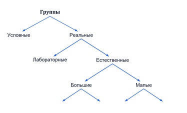 Группа в социальной психологии