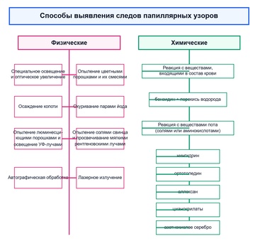Исследование и анализ следов рук