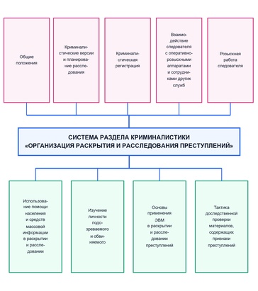 Организация расследования преступлений как область криминалистики