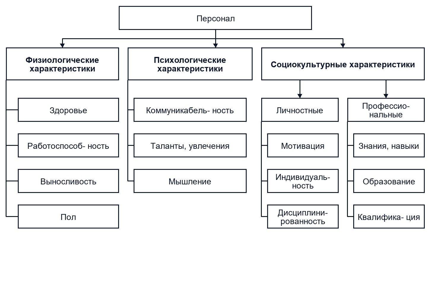 Определение и особенности персонала организации 