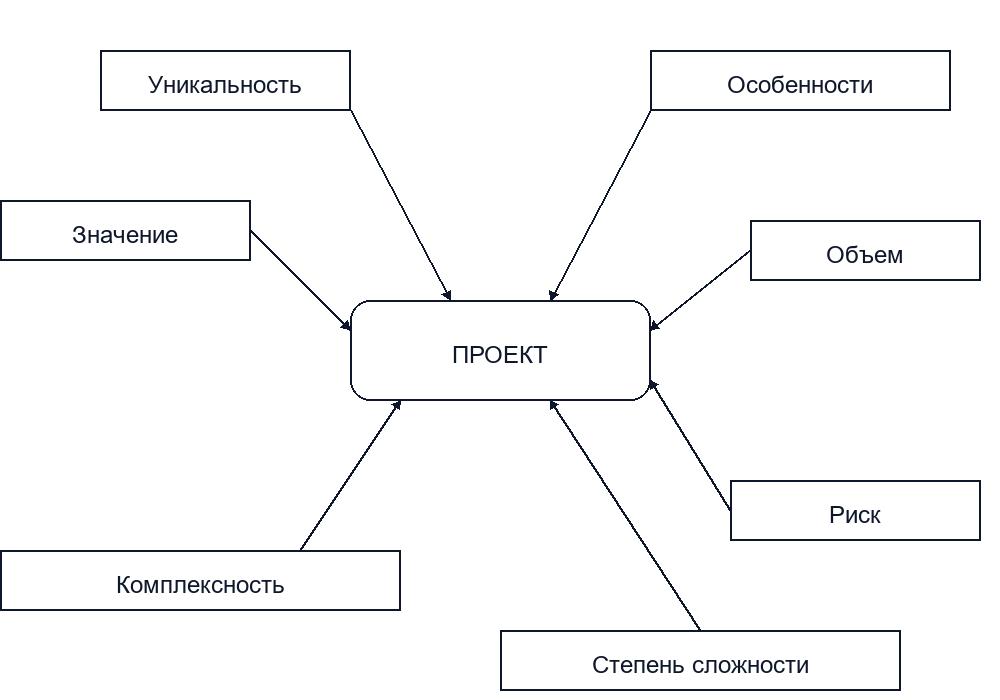 Понятие и сущность процесса управления проектами в организации