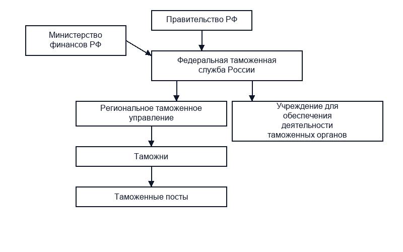 Таможенные органы Российской Федерации: система и структура
