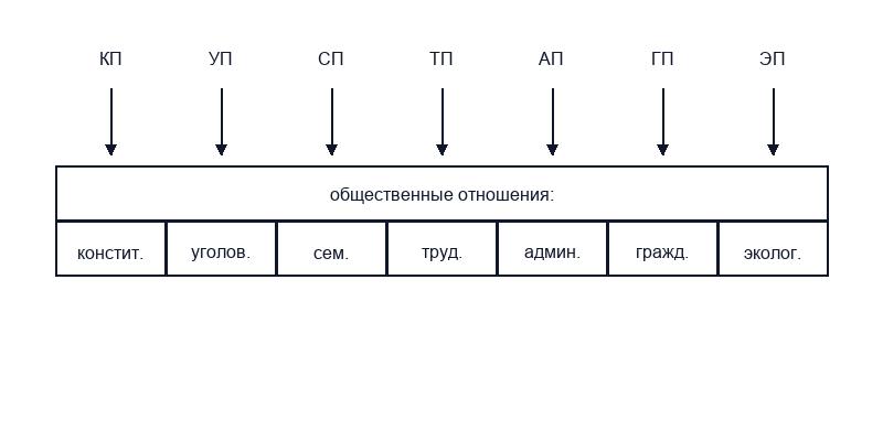 Правовые отрасли и нормы