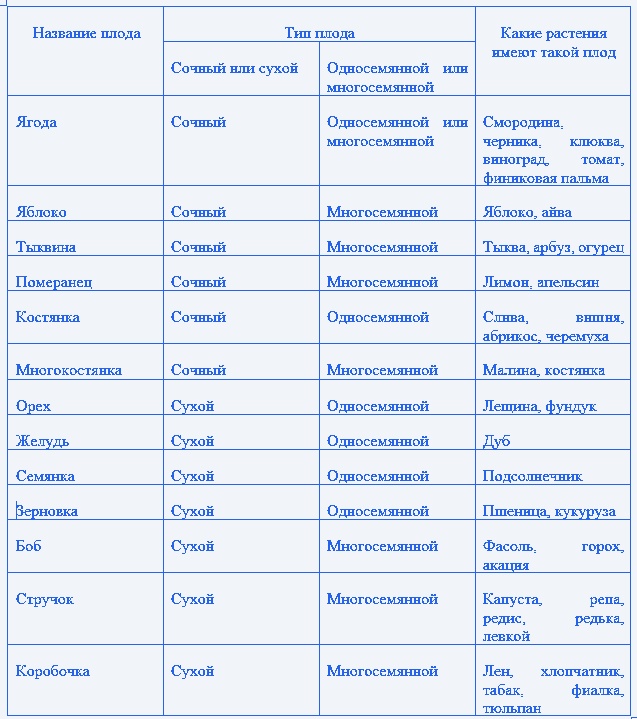 Общая характеристика типов плодов