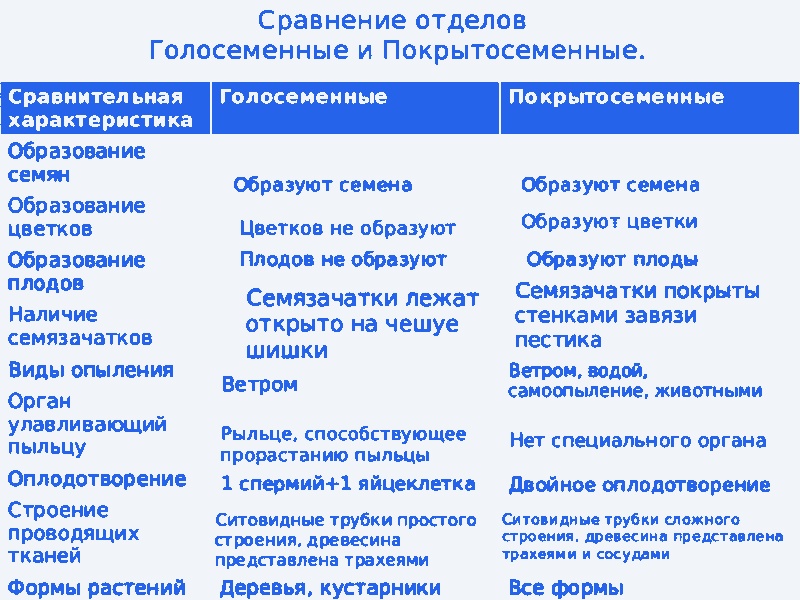 Отличительные особенности размножения покрытосеменных и голосеменных