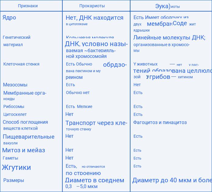 Сравнительная характеристика прокариот и эукариот