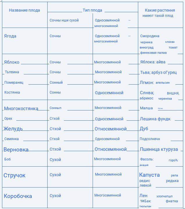 Общая характеристика типов плодов