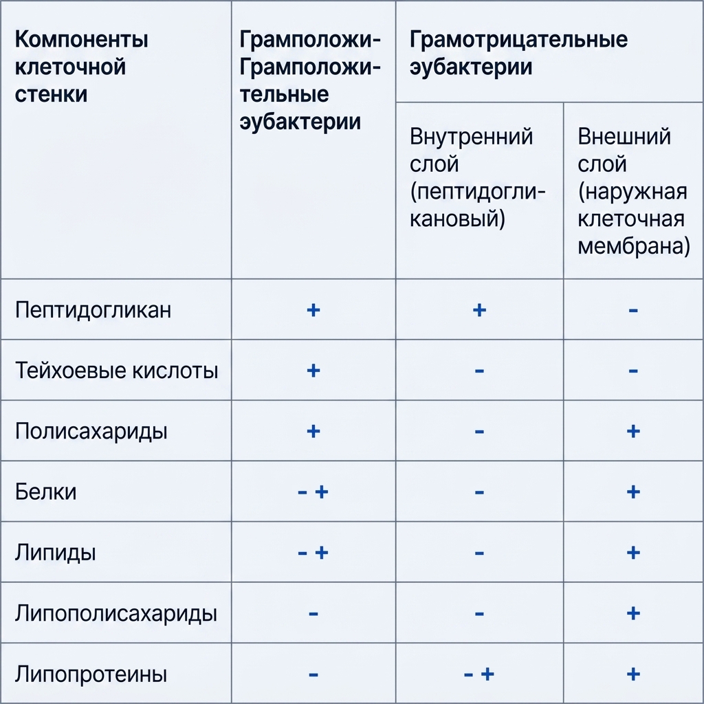 Структура клетки бактерии