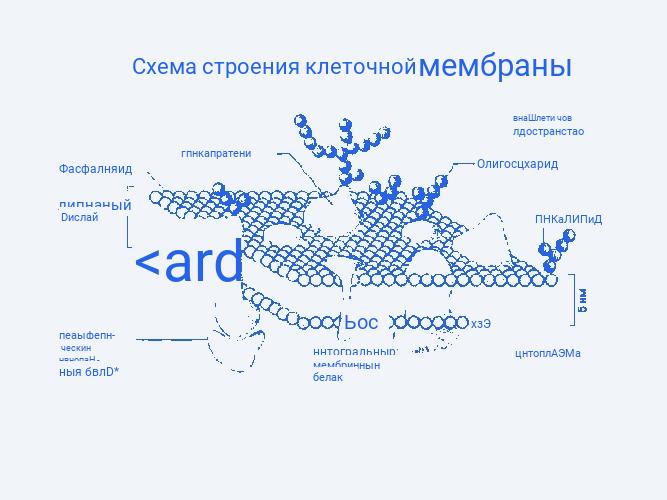 Внутреннее строение бактерий