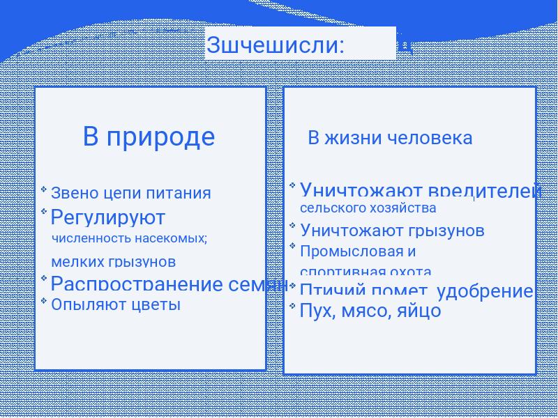 Значение птиц в природе и жизни человека