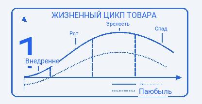 Понятие и фазы жизненного цикла продукта 