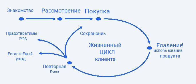 Определение и суть жизненного цикла клиента 