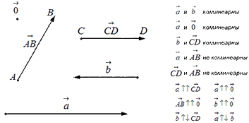 Направление векторов