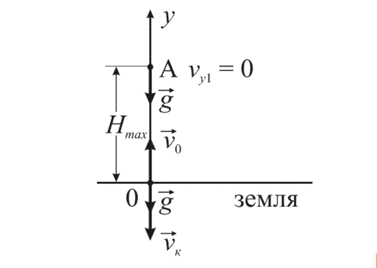 Движение тела, брошенного вертикально вверх
