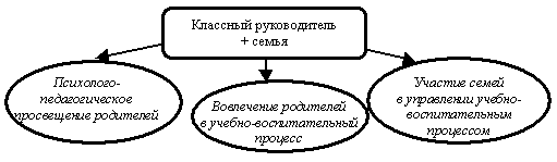 Работа классного руководителя по всестороннему развитию