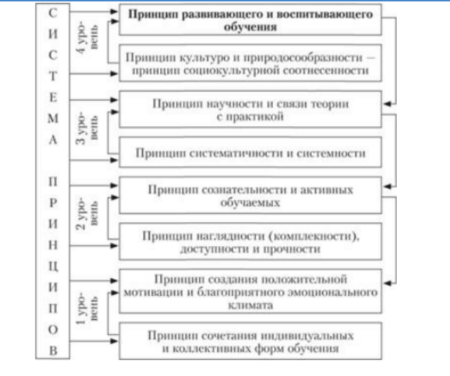 Принципы развивающего и воспитывающего обучения