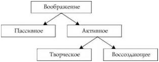 Разновидности воображения