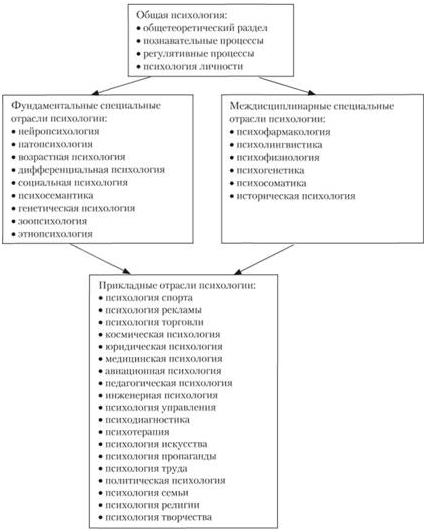 Основные разделы общей психологии