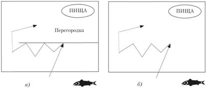 Переходные формы этапов психического развития