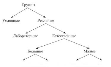 Группа в социальной психологии