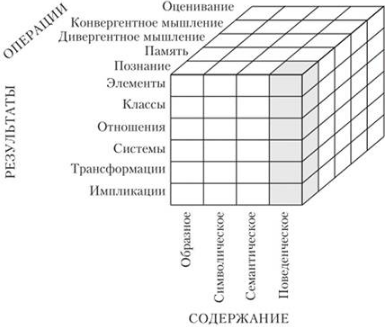 Виды интеллекта. Когнитивные стили