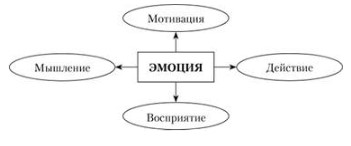 Особенности восприятия партнера