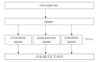 Правовые отрасли и нормы