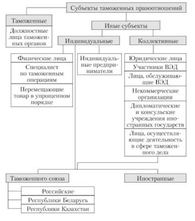 Субъекты таможенных правоотношений - юридические и физические лица и их правовой статус