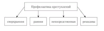 Виды профилактики