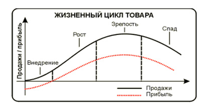 Основные фазы жизненного цикла продукта 