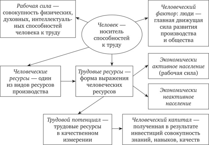 Понятие рабочей силы