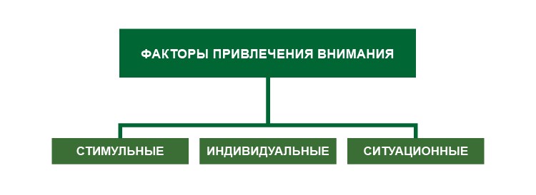 Внимание: виды и свойства