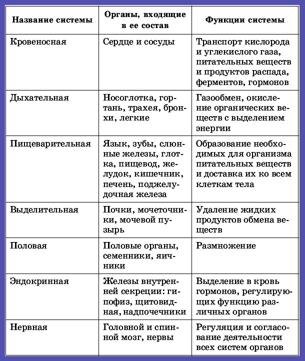 Системы органов животных