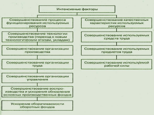 Суть интенсивного роста компании