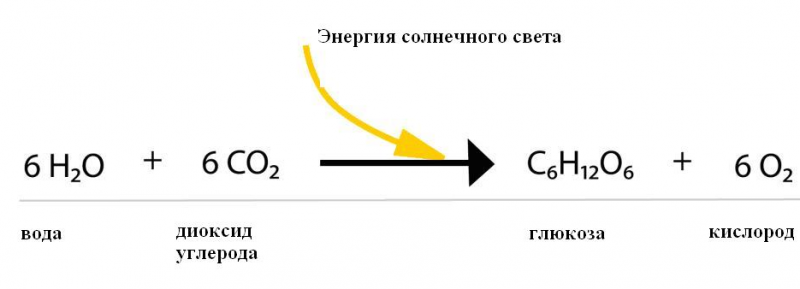 Значение химии в жизни