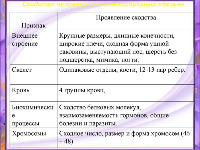 Человек как биологический вид