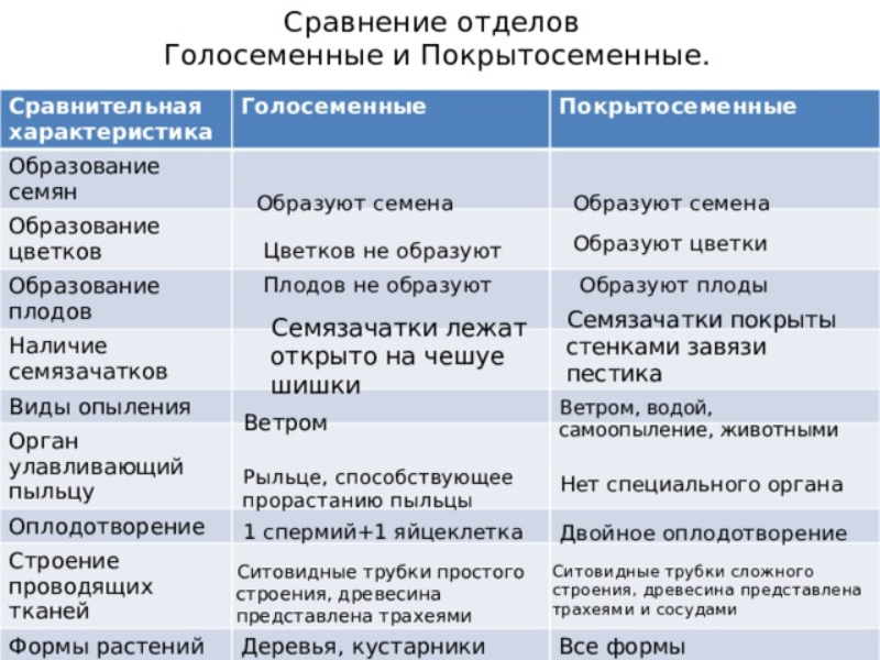 Отличительные особенности размножения покрытосеменных и голосеменных