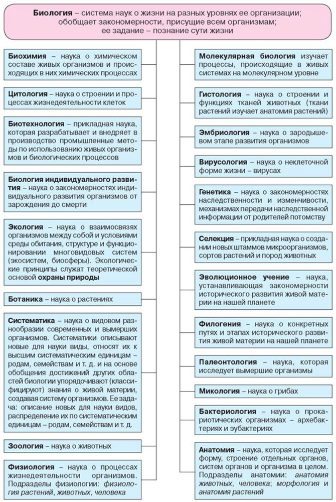 Особенности системы биологических наук