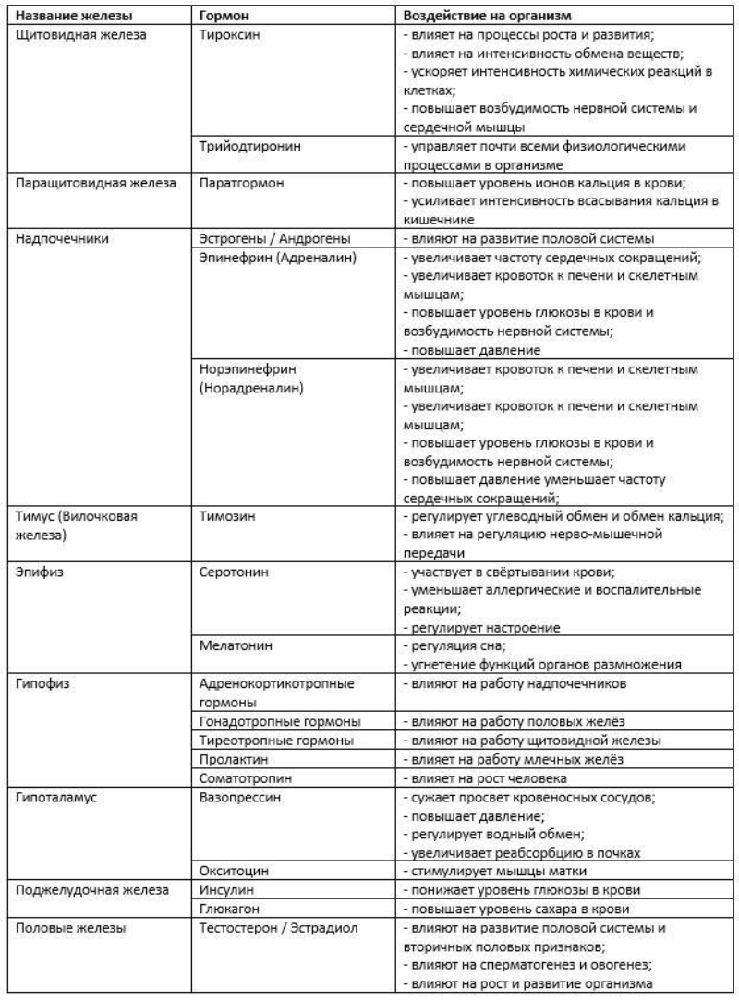 Характеристики желез внутренней секреции и их функции