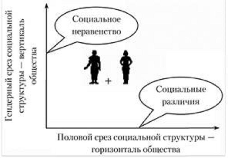 Гендерные роли в обществе