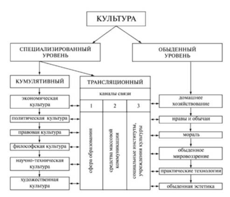 Морфология культуры на современном этапе